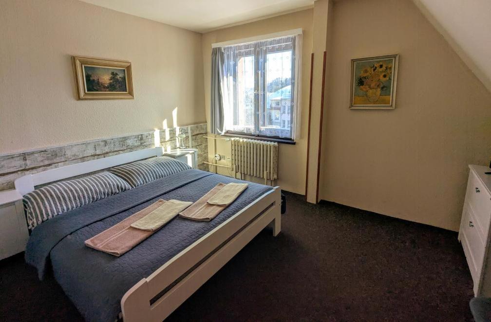Hotel Alfa Trutnov Ngoại thất bức ảnh